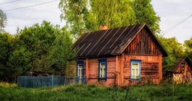 Grįžęs iš uždarbio, nusprendžiau parduoti tėvų namą, bet kieme manęs laukė staigmena: ten kažkas jau gyveno