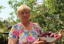 Neseniai kaimynė man pranešė nemalonią naujieną. Pasirodo, kad kitas kaimynas, man nesant, įsibrovė į mano sklypą